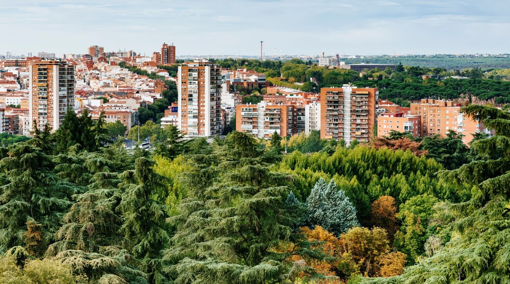 Aluche