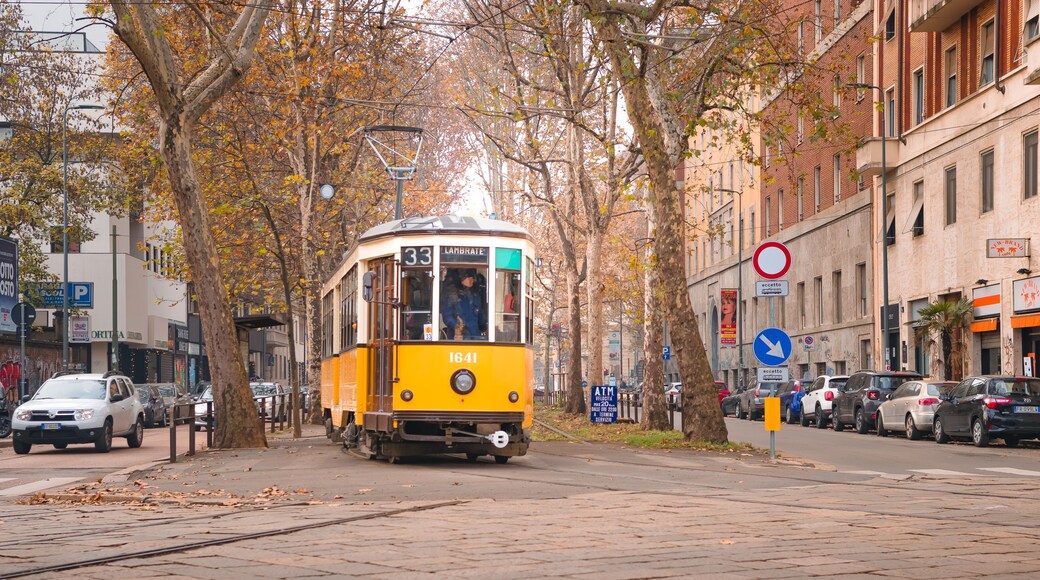 A yellow tram with the number 33 on a city street lined with autumn trees and parked cars.