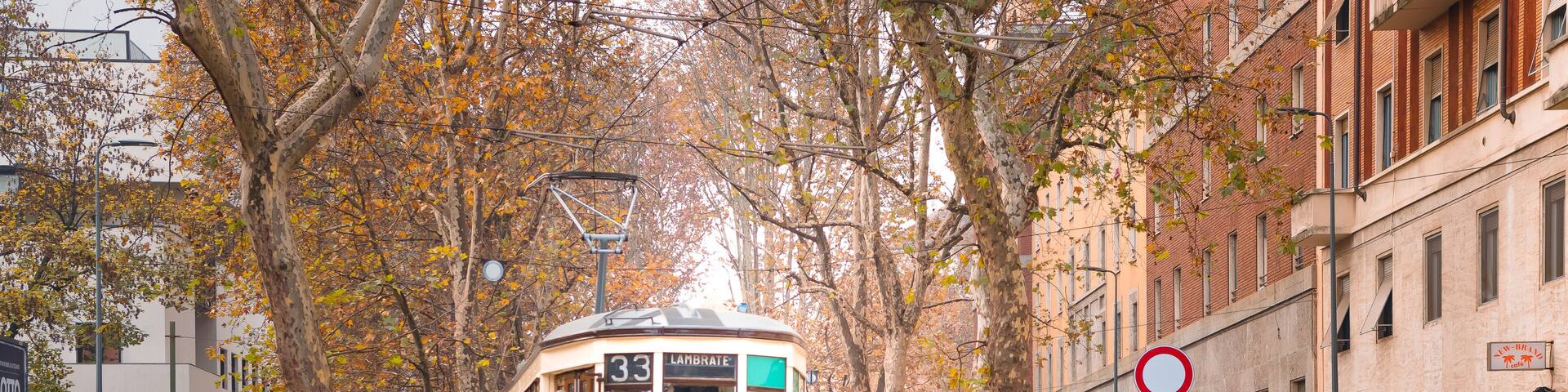 A yellow tram with the number 33 on a city street lined with autumn trees and parked cars.