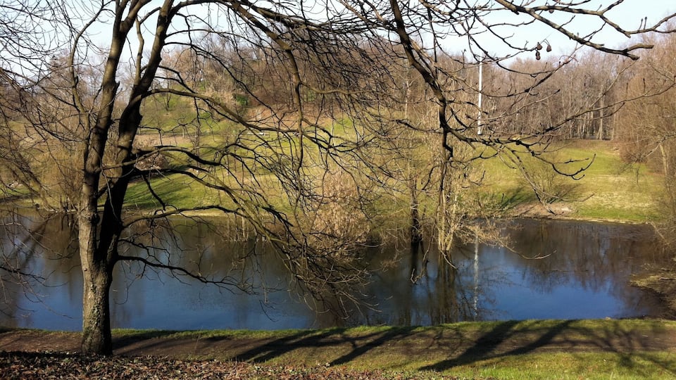 Ein ruhiger See mit kahl stehenden Bäumen und einer grasbewachsenen Fläche im Vordergrund.