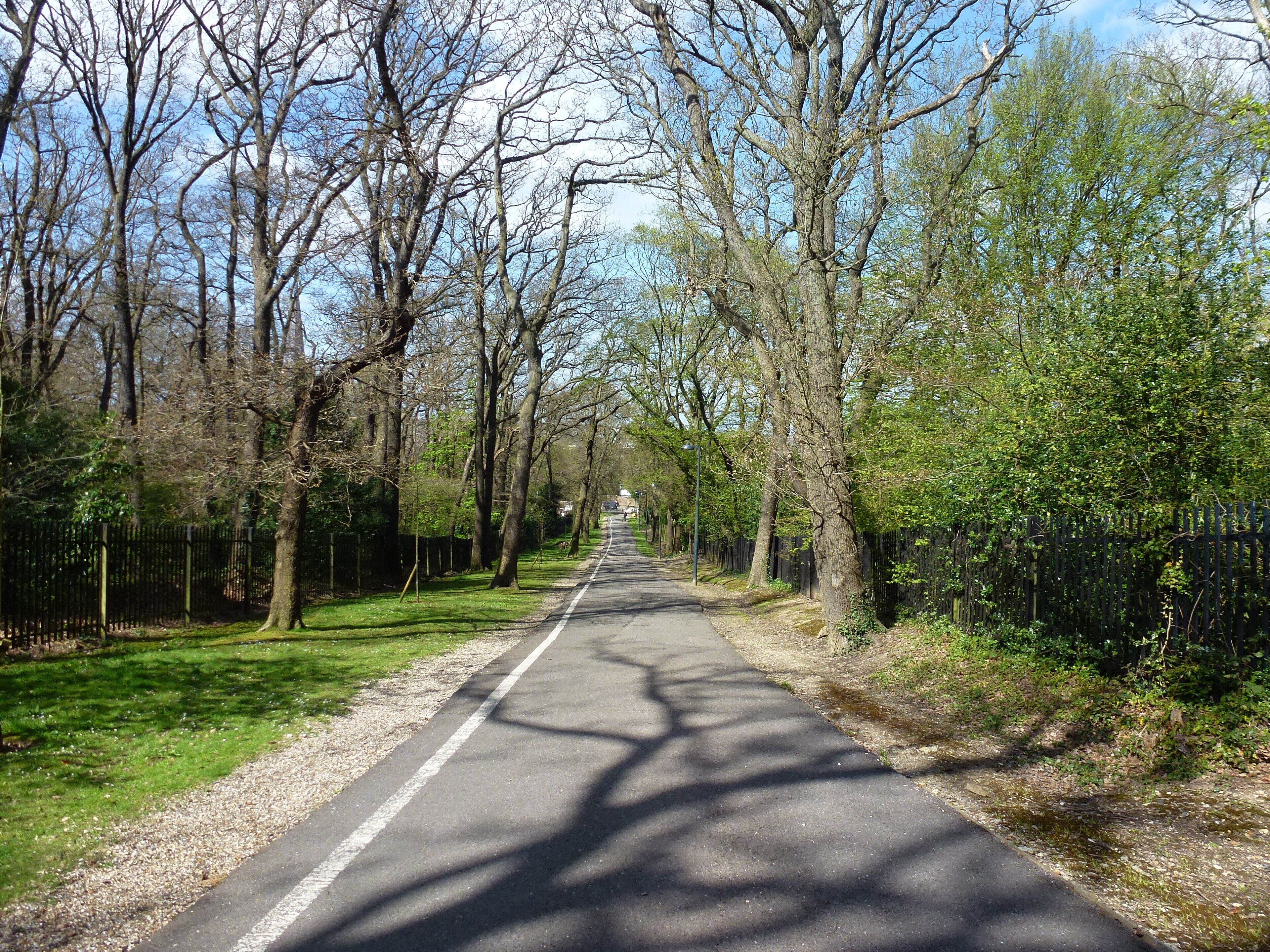Looking up from College Road towards Sydenham Hill Road