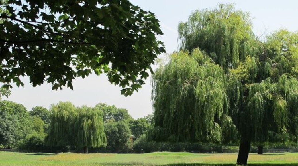 The northwest part of Queen's Park