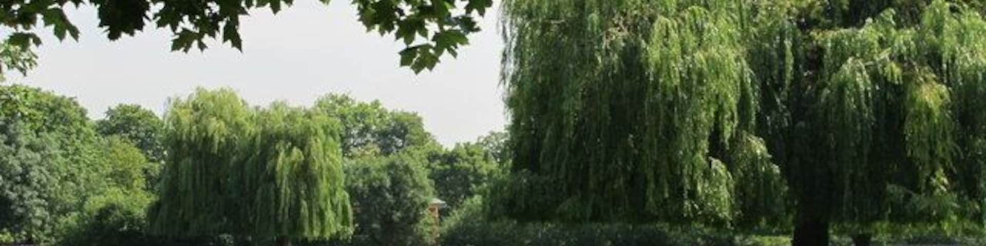 The northwest part of Queen's Park