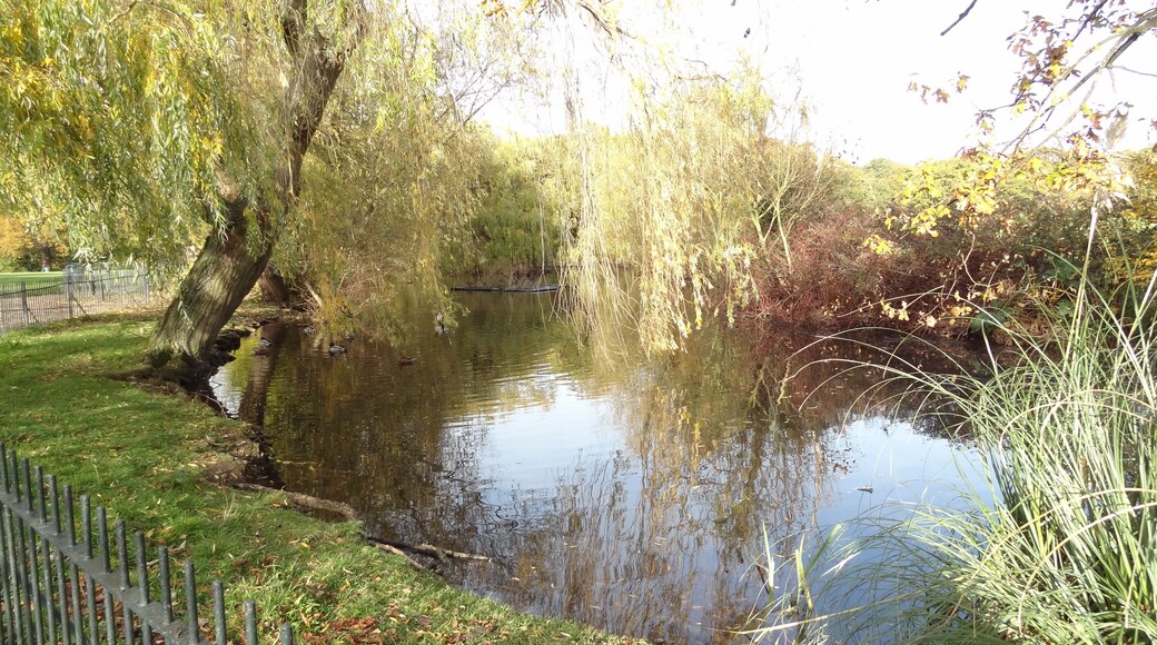 Long Pond in Eltham Park North, Greenwich, London