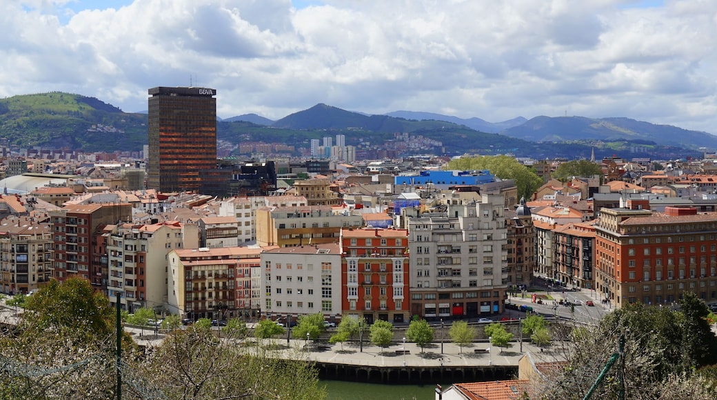 Bilbao city skyline from Etxebarria Park