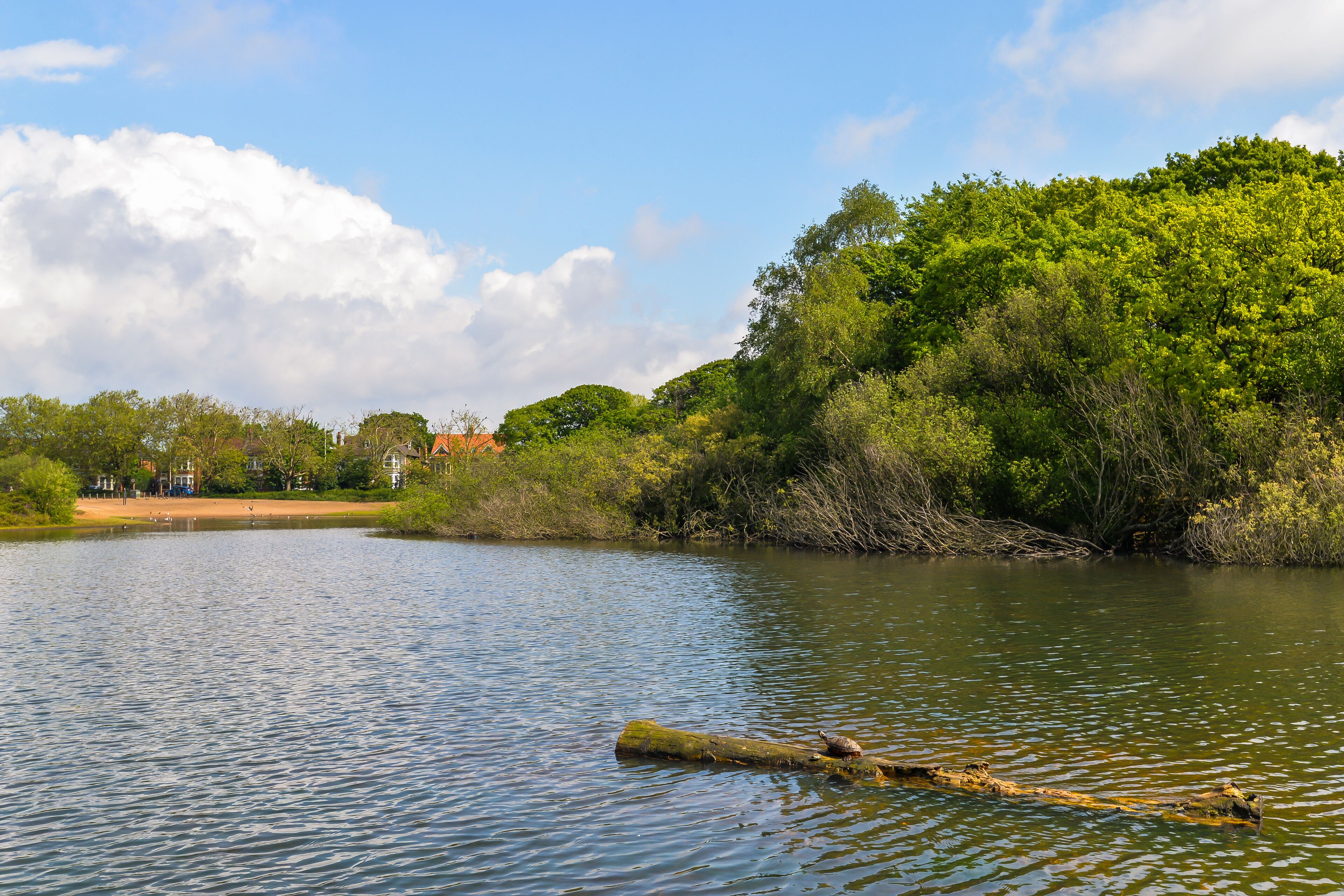 Wanstead Flats - London, UK