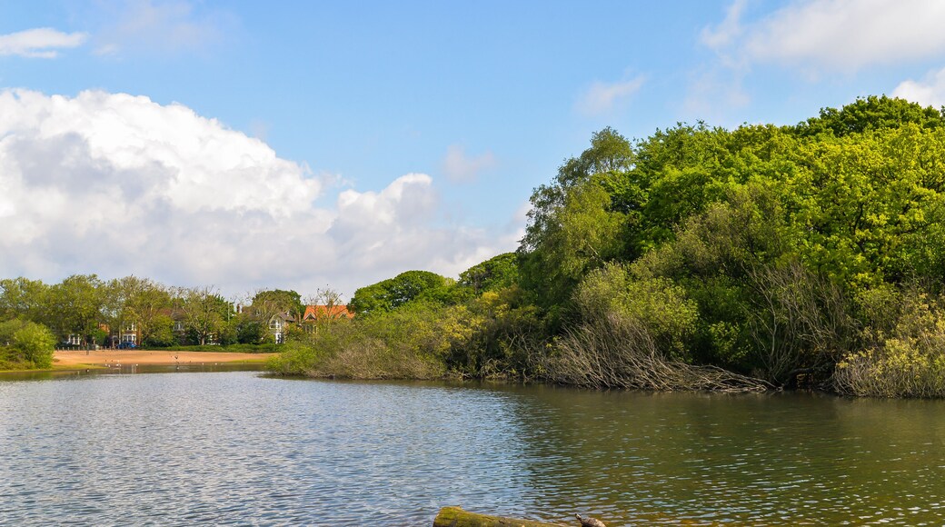 Wanstead Flats - London, UK