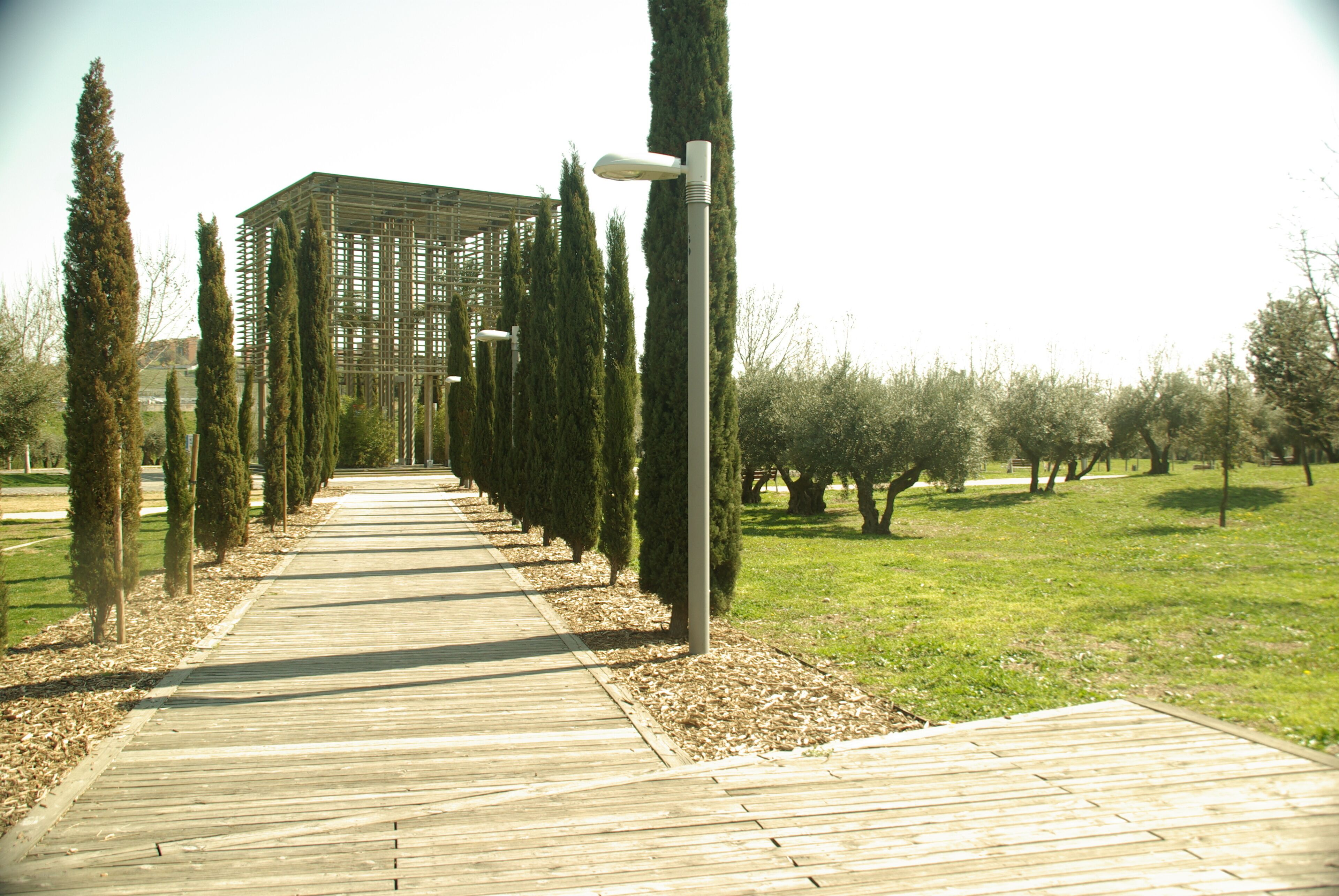 ® MADRID P.L.M. PARQUE MANZANARES-PALMERAL