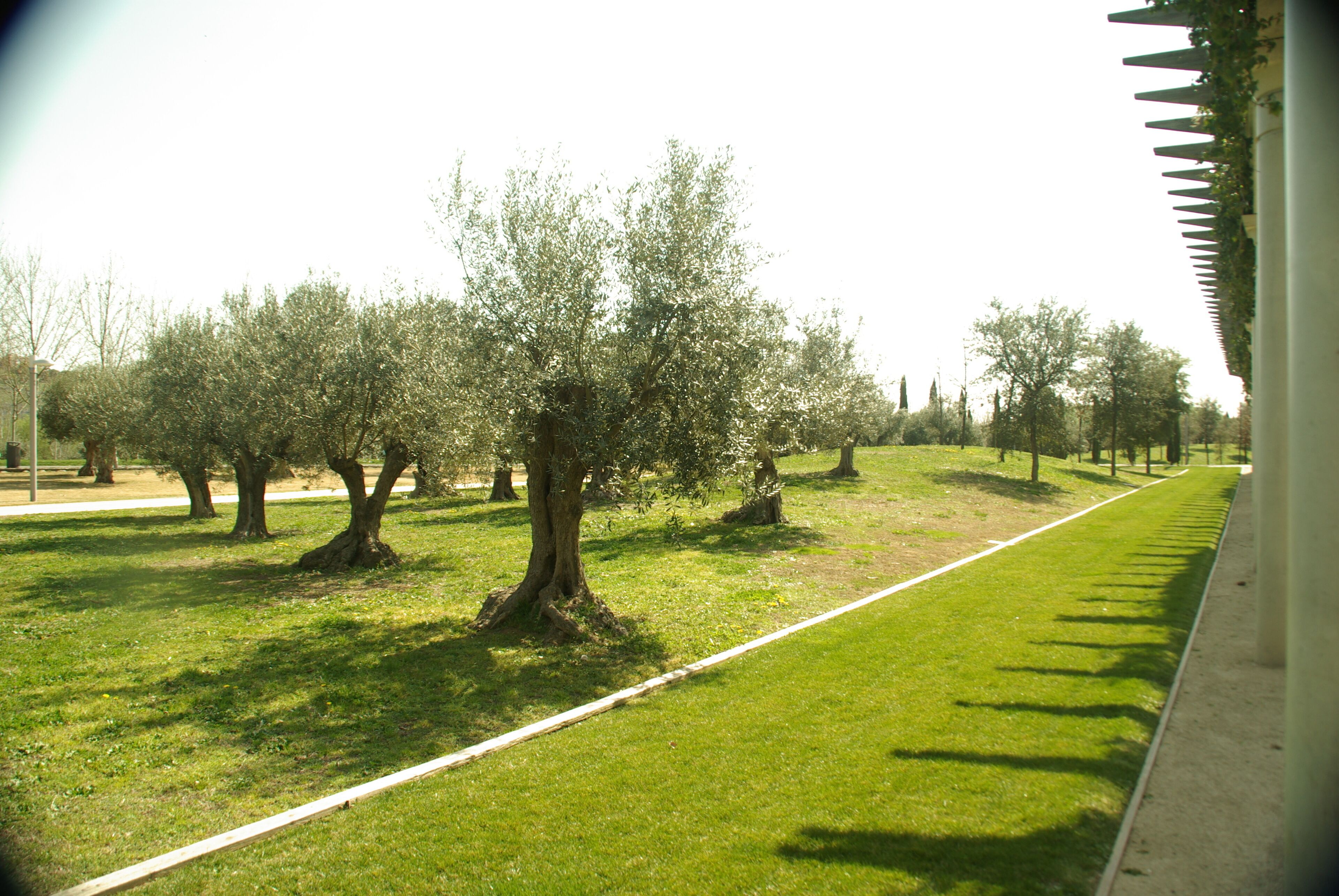 ® MADRID P.L.M. PARQUE MANZANARES-PÉRGOLA