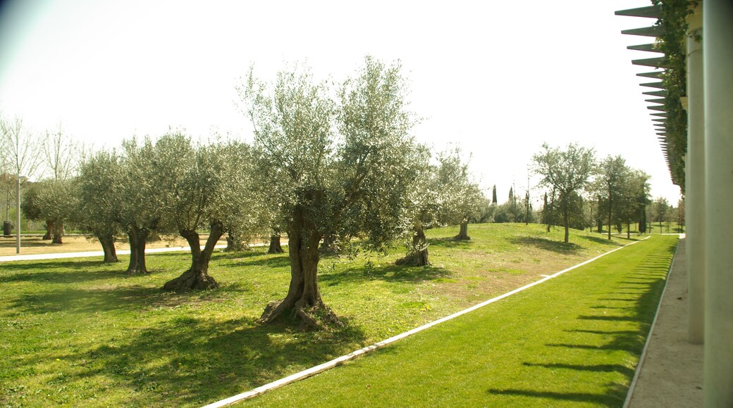 Âź MADRID P.L.M. PARQUE MANZANARES-PĂRGOLA