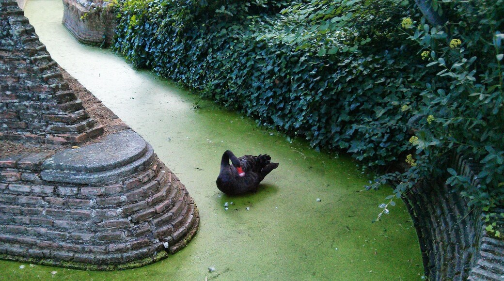 Alameda de Osuna, 28042 Madrid, Spain