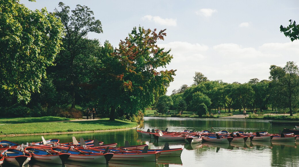 Lac Daumesnil, Paris.