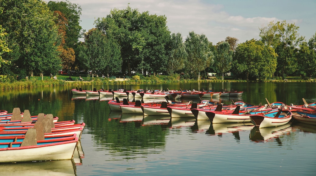 Lac Daumesnil, Paris.