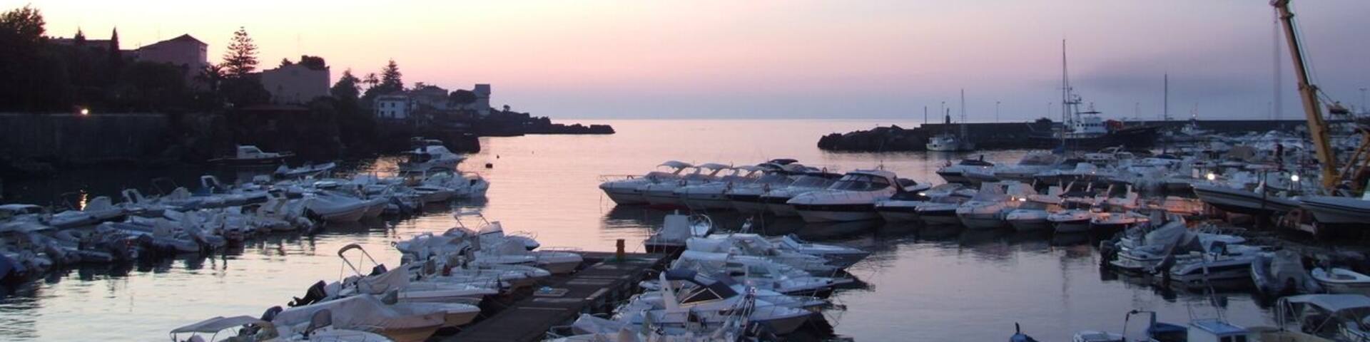 A marina at dusk with numerous boats docked.