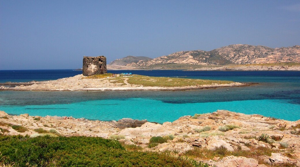 Stintino, La Pelosa beach