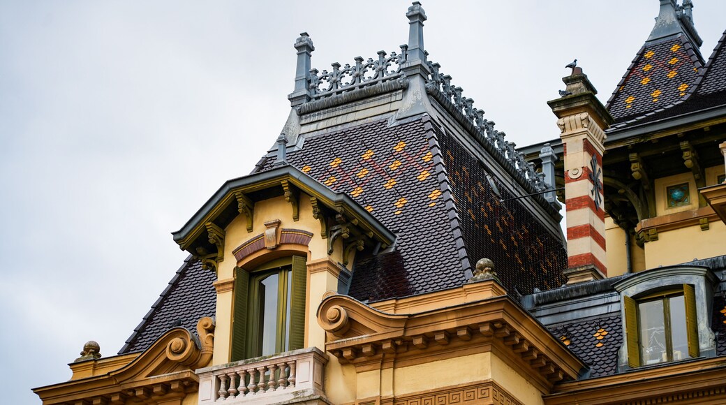 ๋ชฝ ํ๋ ์ง๋ฅด