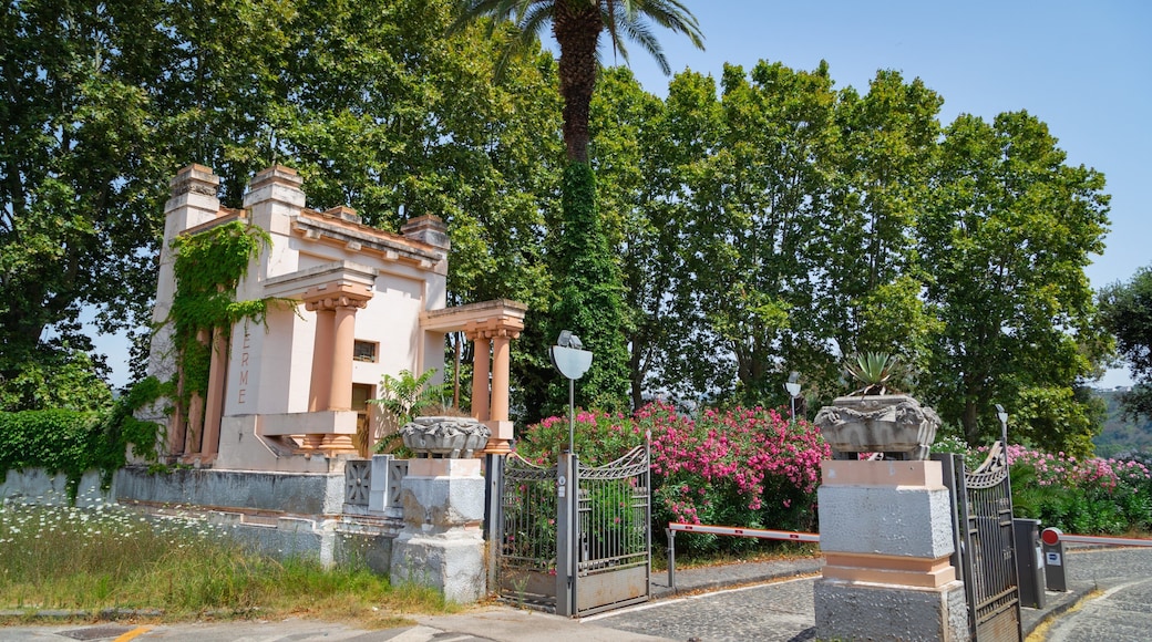 Agnano showing a garden, heritage elements and flowers