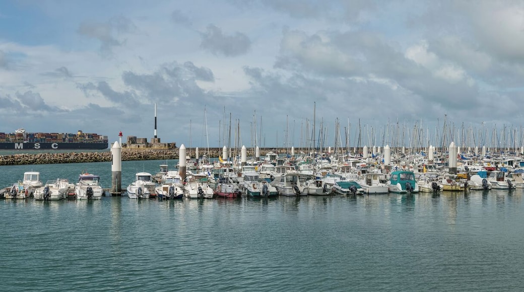 The Anse de Joinville of the marina of Le Havre as seen from Boulevard Clemenceau. The MSC Ariane is visible in the Background.