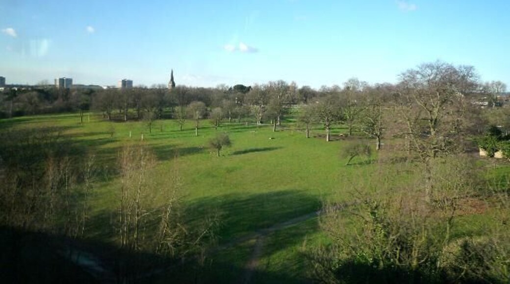 Churchfields Recreation Ground from the Wharncliffe Viaduct St. Mary's church, St.Andrews and Gleneagles Towers are in the background.
