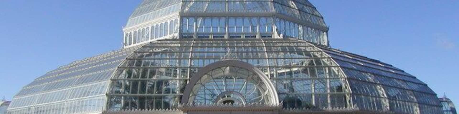 Palm House Sefton Park Liverpool