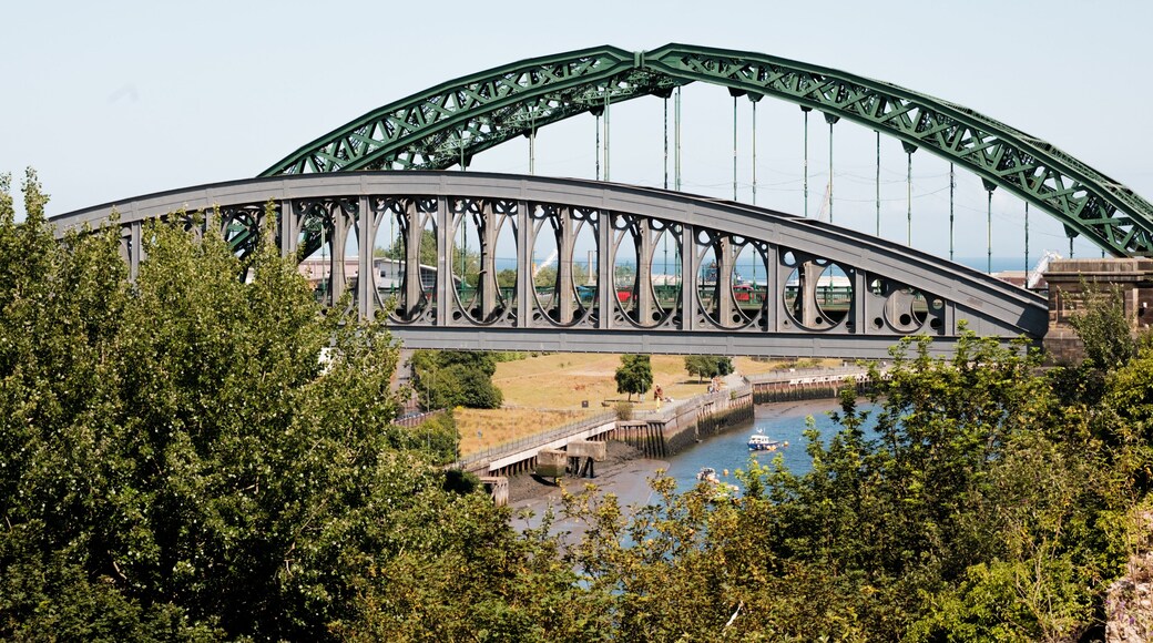 Eine große, grüne Stahlbrücke mit geschwungener Form, die über einen Fluss führt.
