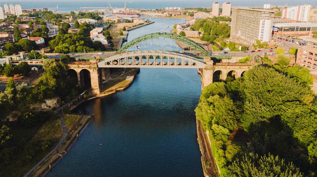 Ein Fluss mit einer Brücke, einer Stadtansicht und viel Grün.