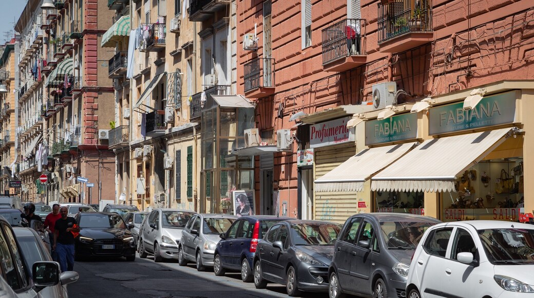 Vasto which includes a city