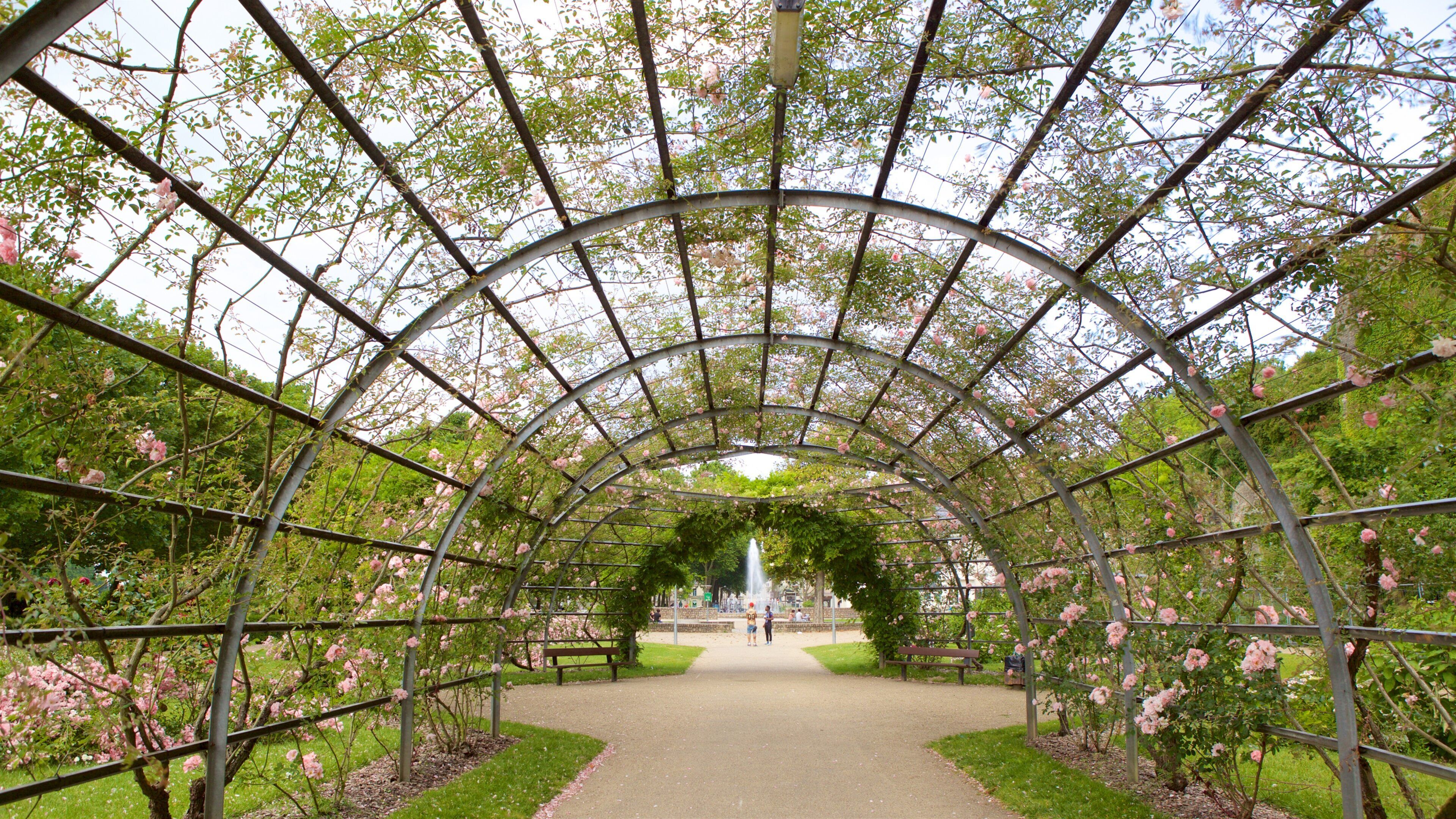 Downtown Angers featuring a park and flowers