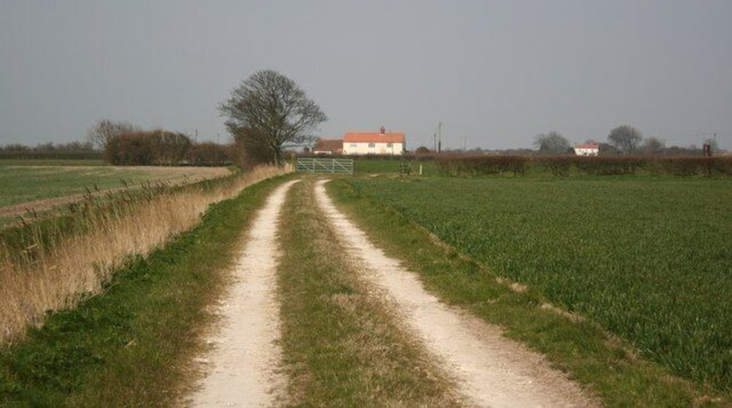 View to Anderby Near Bank House with a white cottage on Sea Road on the horizon