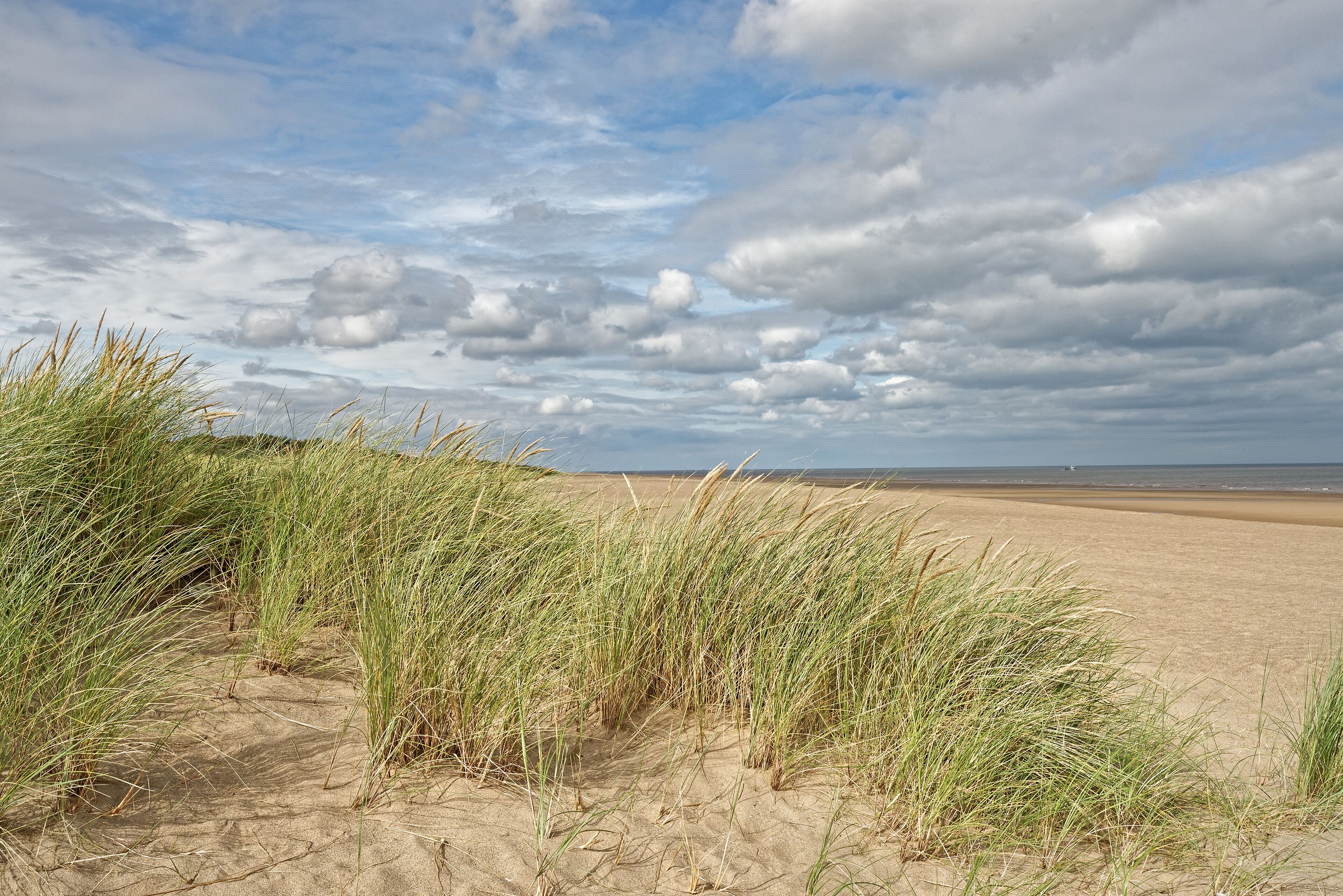 A sandy beach with tall grass in the foreground and a cloudy sky in the background.