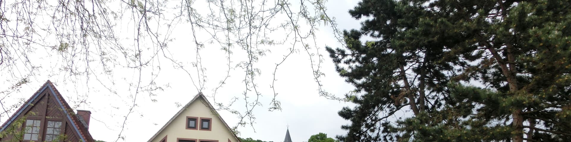 Panorama di Zwingenberg