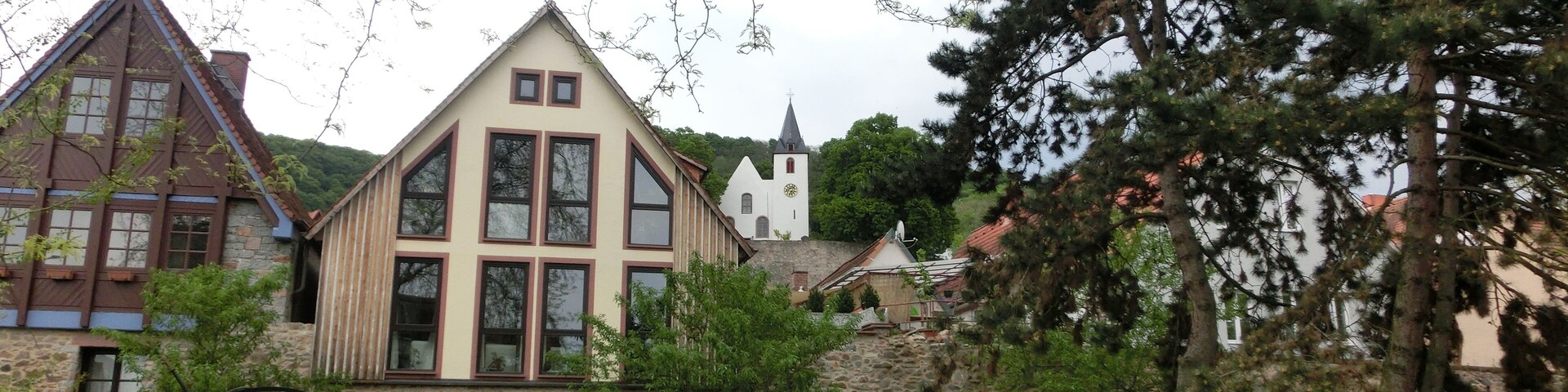 Panorama di Zwingenberg