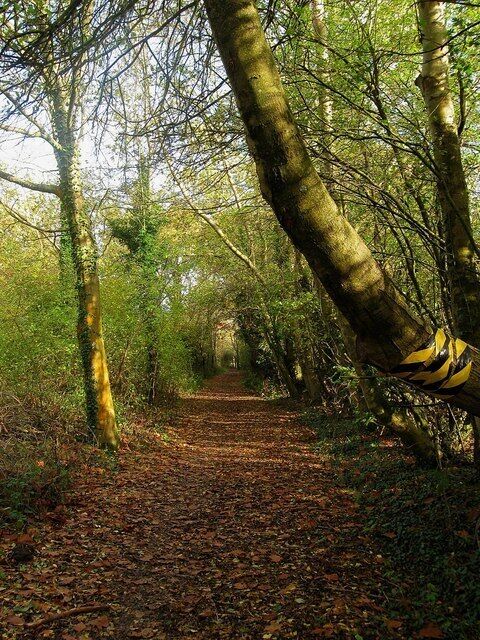 Jubilee Pathway The section of the pathway that lies within Ditchling parish between the boundary with Westmeston and Shirleys.