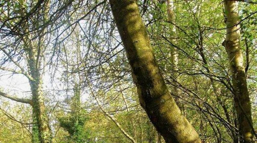 Jubilee Pathway The section of the pathway that lies within Ditchling parish between the boundary with Westmeston and Shirleys.
