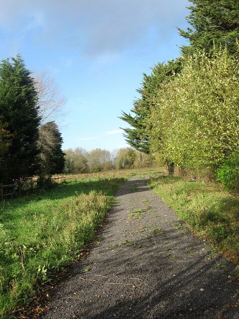 Old Yard Field The name of the field according to the 1843 tithe map. Seems to be used as a paddock these days.