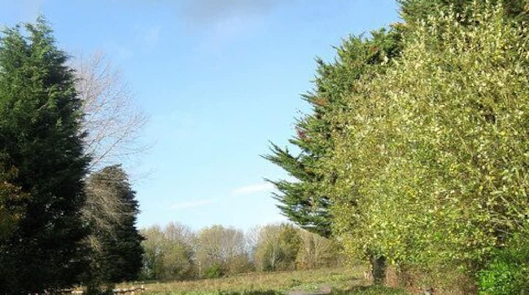 Old Yard Field The name of the field according to the 1843 tithe map. Seems to be used as a paddock these days.