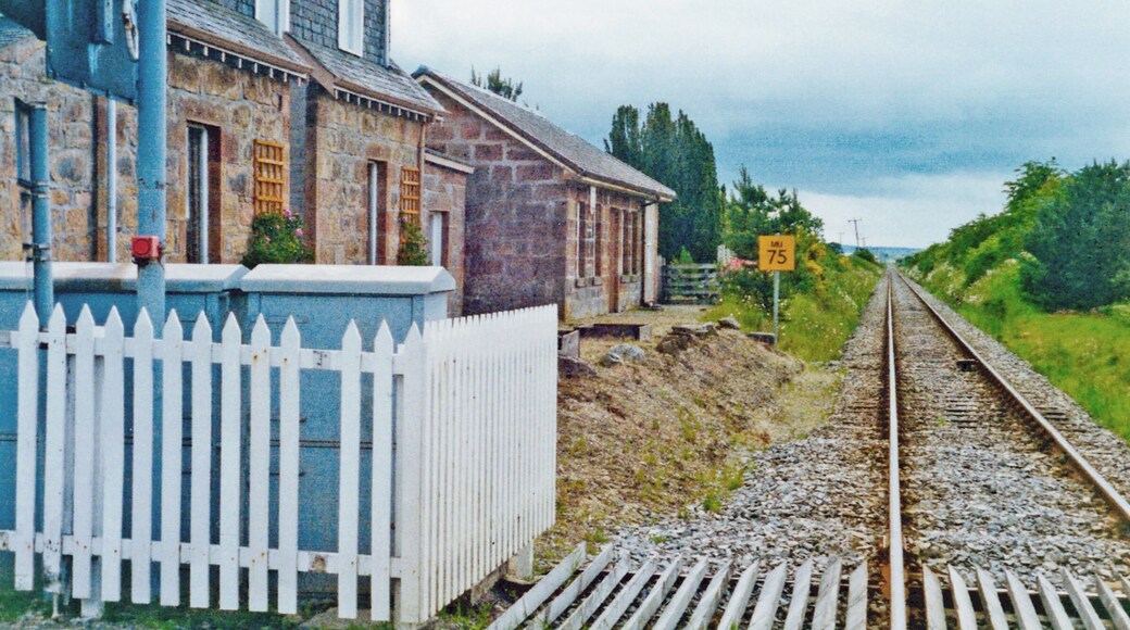 Former station at Delny, 1994. View SW, towards Dingwall and Inverness: ex-Highland Railway, Inverness - Dingwall - Thurso/Wick 'Far North' line. The station was to passengers 13/6/60, to goods 15/6/64, but the line flourishes