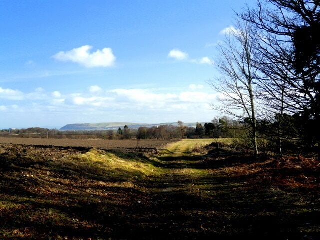 Farm track near Delny Muir