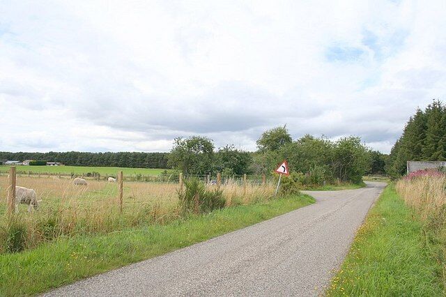 Delny Muir Farm to the left.