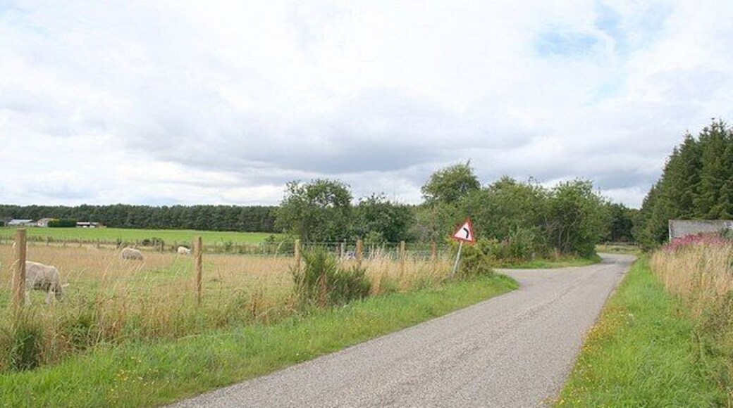 Delny Muir Farm to the left.