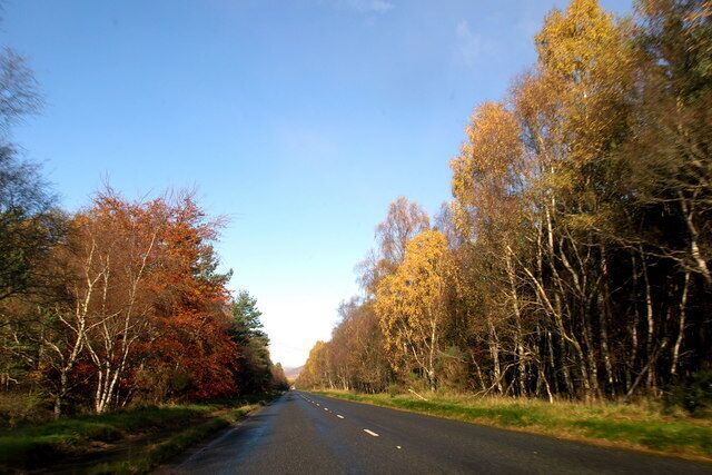 Edzell Wood on approach to Edzell
