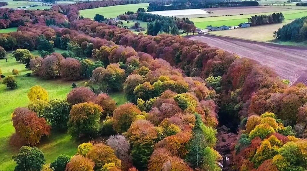 Edzell in Autumn is stunning! Below is the 'Rocks of Solitude', one of the best walks in Angus along the banks of the river north Esk. Park in the centre of edzell for a long walk or near 'the blue door' for the Shottery version