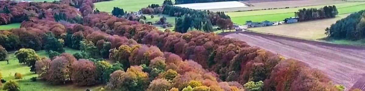 Edzell in Autumn is stunning! Below is the 'Rocks of Solitude', one of the best walks in Angus along the banks of the river north Esk. Park in the centre of edzell for a long walk or near 'the blue door' for the Shottery version