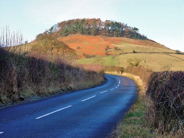 New Road, above Rosedale The hilltop (with Bell Plantation), approximately 500m distant, is bathed in winter sunchine.