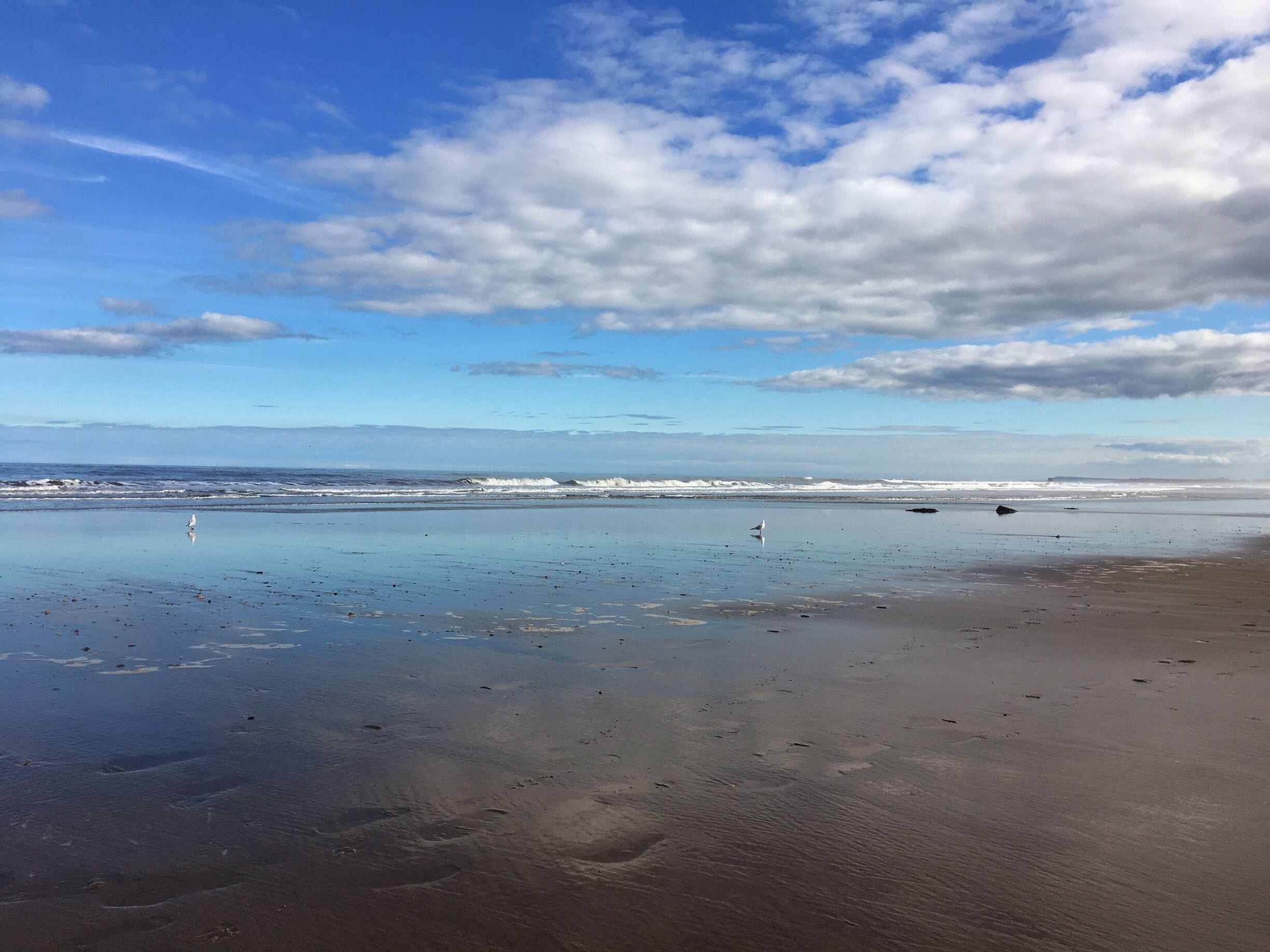 Another great walk down to Crimdon Beach just north of Hartlepool. 