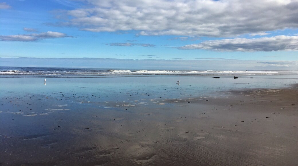 Another great walk down to Crimdon Beach just north of Hartlepool.