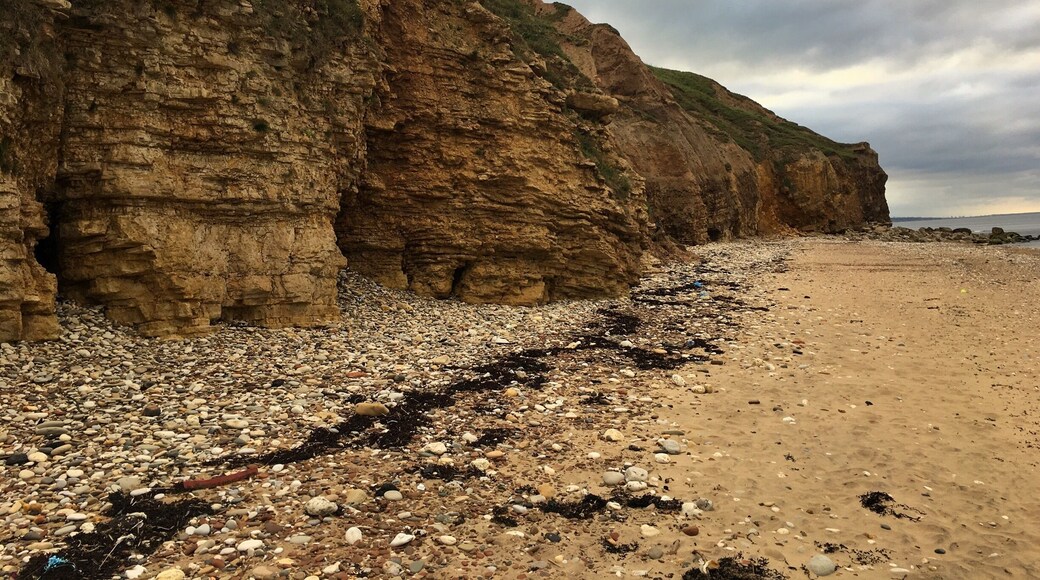 The Beach at Crimdon is one of the least well known Durham beaches. As a mining coast you can find coal deposits along the beach!