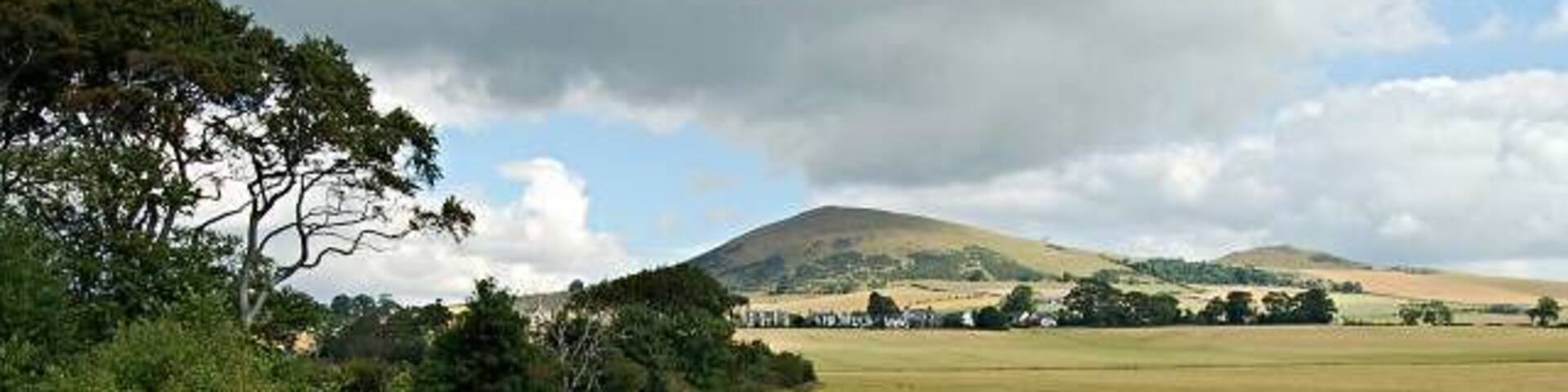 Largo Burn Wood. From the south end of the wood looking back towards Upper Largo.