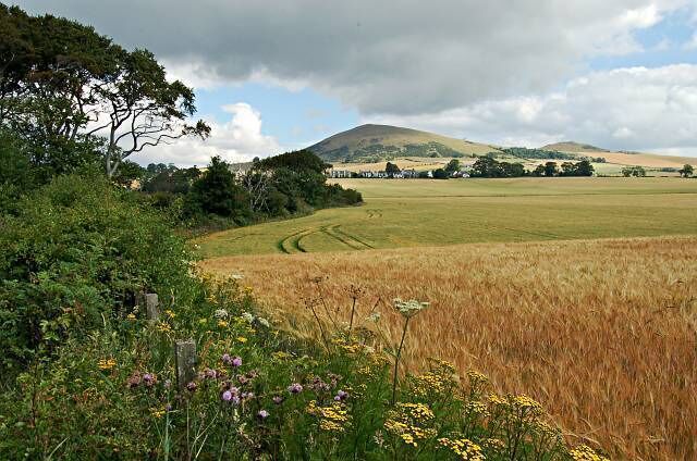 A rural landscape with a field, a hill, and a trail.