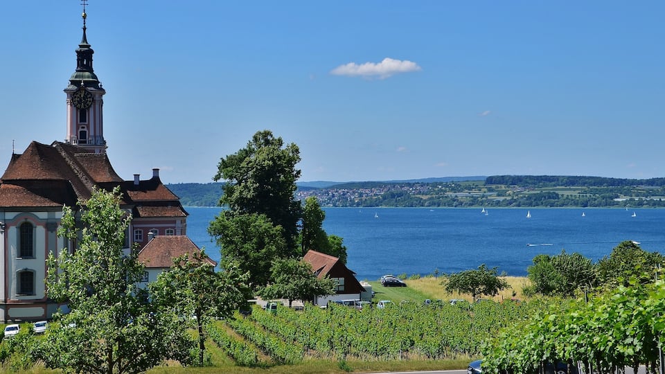 A church with a tall steeple, a vineyard, and a lake with sailboats.
